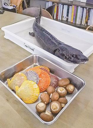シロチョウザメ（上）とヒオウギ貝（左下）＝東京都品川区のクレイジーキッチン