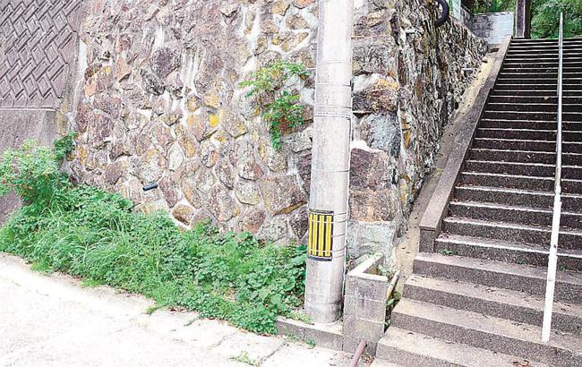 クマが目撃された電柱そばの草むら。犬がほえると階段を上って逃げたという=浜田市殿町