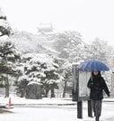 雪に見舞われた松江城前＝２１日午前８時５５分、松江市殿町