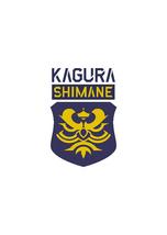 朝刊先読み！】JFL5位 松江シティFC、新チーム名を発表 | 山陰中央新報