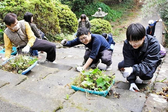 一畑薬師の石段に生えた雑草を抜き、落ち葉を取る参加者＝出雲市小境町
