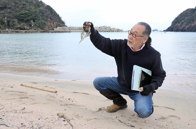 漂着物を調べる召古裕士さん＝松江市島根町野波、小波海岸