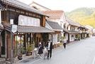 城下町の風情が残る本町通りに店を構える俵種苗店＝島根県津和野町後田