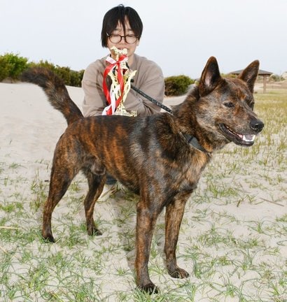 トロフィーを手に甲斐犬・太郎の１席獲得を喜ぶ山崎靖子さん＝大田市鳥井町