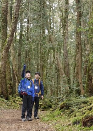 青木ヶ原樹海を巡回する富士山レンジャー＝２０２１年３月、山梨県富士河口湖町