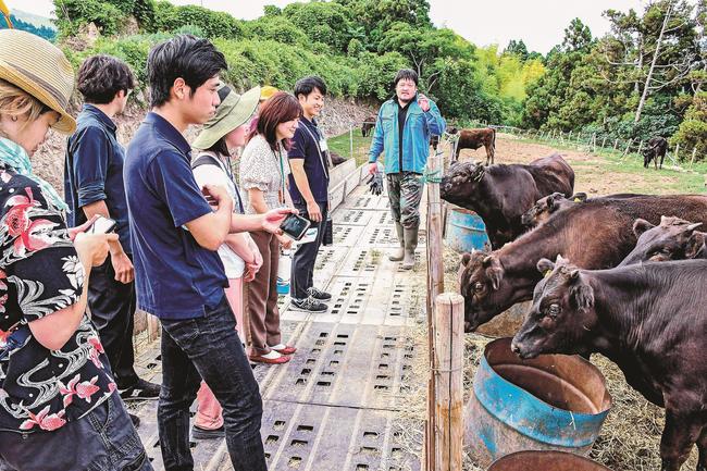 前井出隼也さん（右端）から畜産の現状を聞く研修生たち＝島根県知夫村