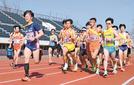 第７８回大会で勢い良くスタートする１区のランナー＝松江市上乃木１０丁目、市営陸上競技場