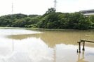 降雨後の柴池＝７日午前、松江市西川津町