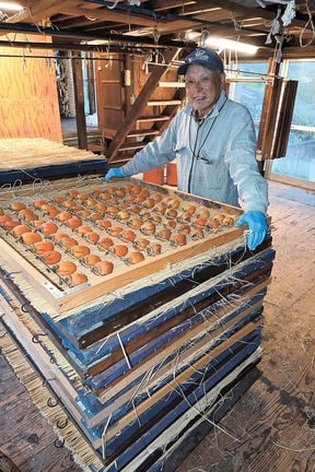 干し柿の製造方法で特許を取得した百市農園の福岡博義代表＝松江市東出雲町上意東、同園