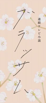 連続テレビ小説『ブラッサム』タイトルロゴ(C)NHK