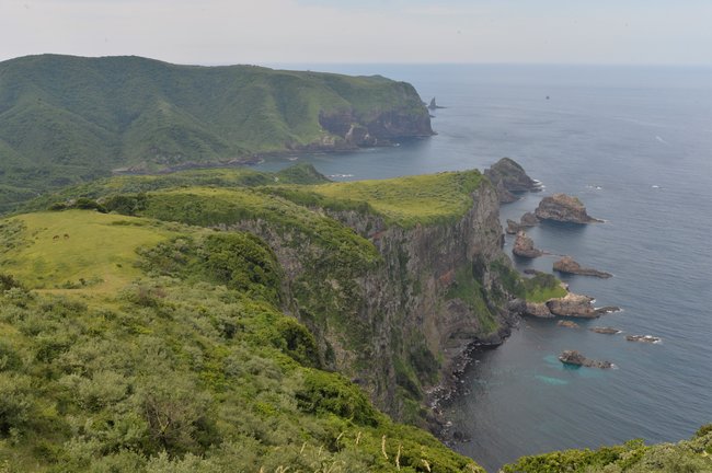 優しいやまんばの民話が伝わる島根県西ノ島町＝同町浦郷、国賀海岸