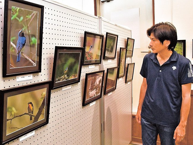 野鳥の写真を見る来館者＝島根県邑南町上亀谷、瑞穂ハンザケ自然館