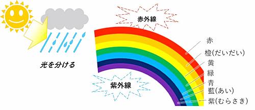 おもしろサイエンス（6） 虹はなぜたくさん色があるの？ | 山陰中央  