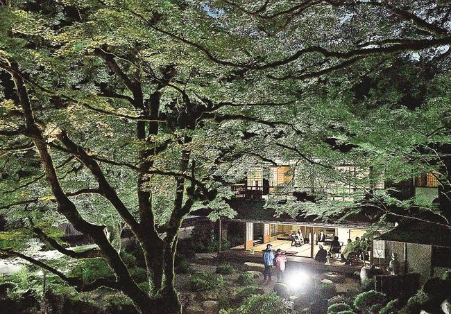 ライトアップされた旧堀氏庭園のカエデ＝島根県津和野町邑輝
