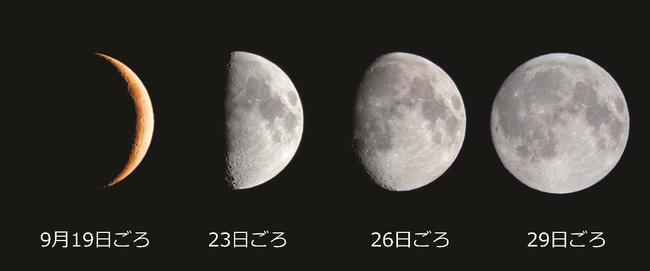 これから中秋の名月に向け月の形が日ごと変化していくイメージ＝三瓶自然館サヒメルの天文台で撮影