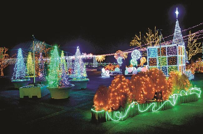 色とりどりの電球が輝くフラワーイルミネーション=鳥取県南部町鶴田、とっとり花回廊