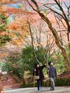 紅葉を楽しみながら境内を散策する参拝者＝出雲市別所町、鰐淵寺