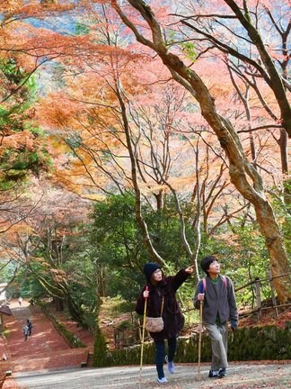 紅葉を楽しみながら境内を散策する参拝者＝出雲市別所町、鰐淵寺