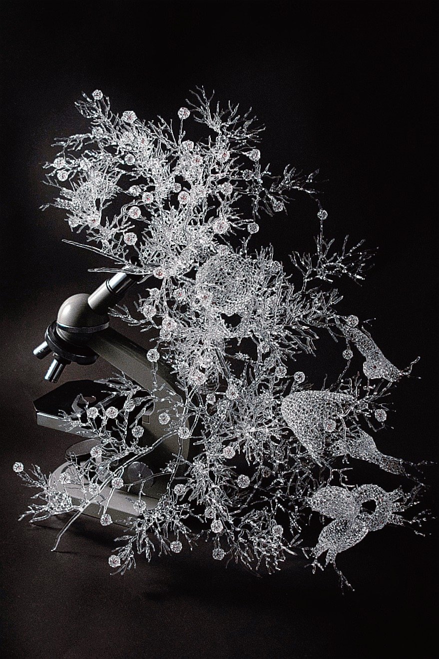 富山の美術館でたどる現代ガラスアート展