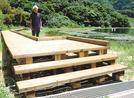 多鯰ケ池の近くに設置した木道と整備を進める飼牛明座長＝鳥取市福部町湯山