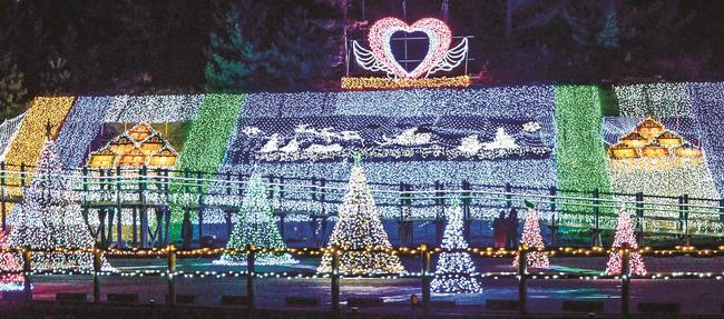 クリスマスをイメージした色鮮やかなイルミネーション＝鳥取市福部町湯山、鳥取砂丘駐車場周辺