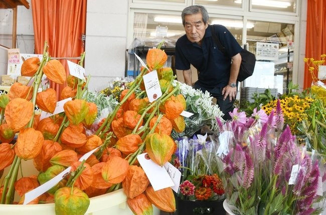 亡くした妻を思いながら、花を品定めする門脇正人さん＝松江市野原町、道の駅本庄