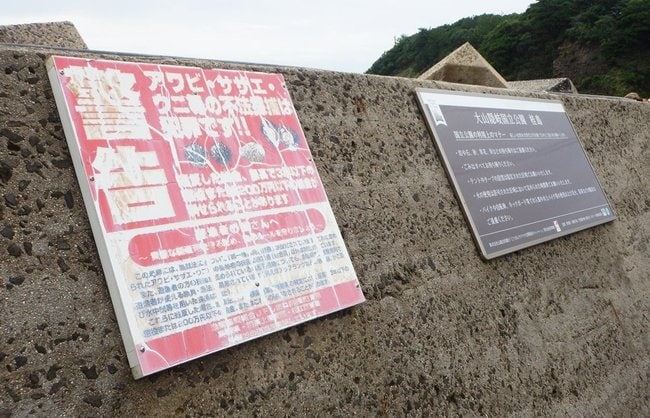 密漁禁止を呼びかける看板＝松江市加賀、加賀漁港