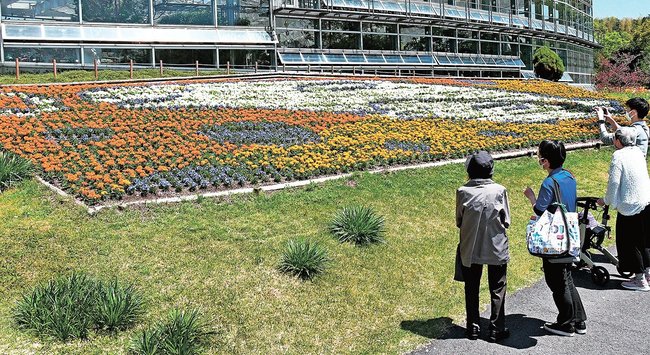 シロイルカが描かれた花壇を楽しむ来場者＝出雲市西新町２丁目、しまね花の郷