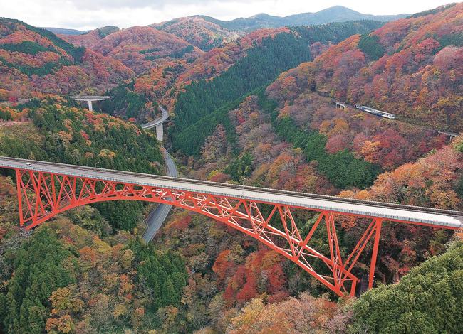 紅葉が色づいた奥出雲おろちループ付近＝島根県奥出雲町八川（小型無人機で撮影）
