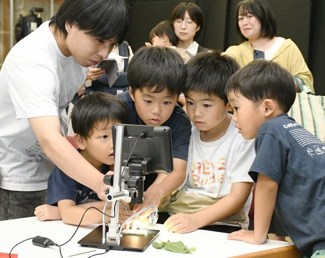 デジタル実体顕微鏡を使って葉などを観察する子どもたち＝出雲市今市町、出雲科学館