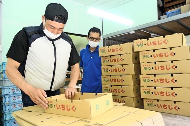 協力隊員終了後、イチジク農家として活躍する山田真嗣さん(右)