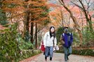 紅葉を楽しみながら境内を散策する参拝者＝出雲市別所町、鰐淵寺