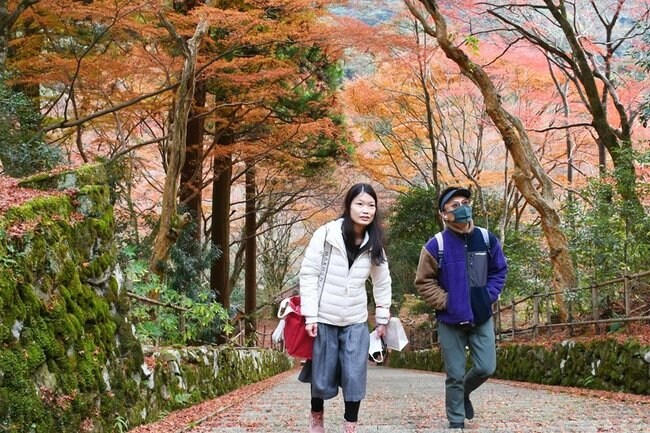 紅葉を楽しみながら境内を散策する参拝者＝出雲市別所町、鰐淵寺