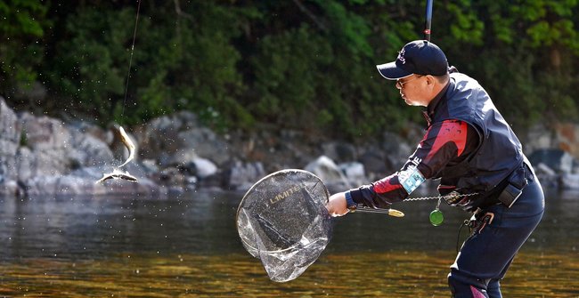 アユを釣り上げた太公望＝益田市匹見町匹見、高津川水系匹見川
