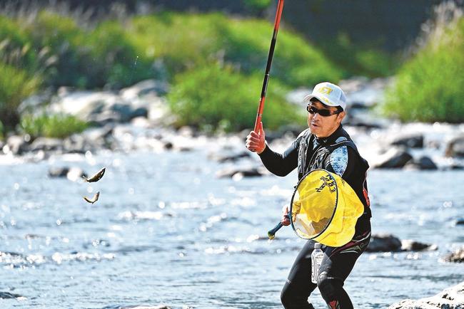 アユ釣りを楽しむ釣り人＝益田市匹見町匹見、高津川水系匹見川