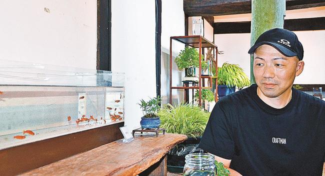 水槽内を泳ぐ改良メダカを見つめる寺井道典さん=島根県津和野町後田、ギャラリー與兵衛