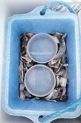 水を沸騰させて空気を取りのぞいておくと、透明な氷ができやすくなります。写真は、沸騰させ冷ました水を深めの容器に入れ、さらに発泡スチロールの箱の中に入れて冷凍庫で凍らせる前の様子（日本科学未来館提供）