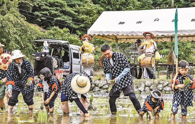 田植えばやしに合わせて苗を植える参加者＝江津市跡市町