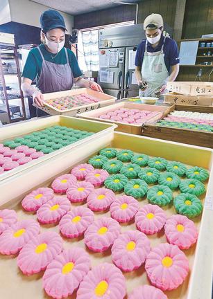 １個ずつ手作りされ、作業場に並んだ盆菓子〓（?）島根県隠岐の島町港町、三共製菓