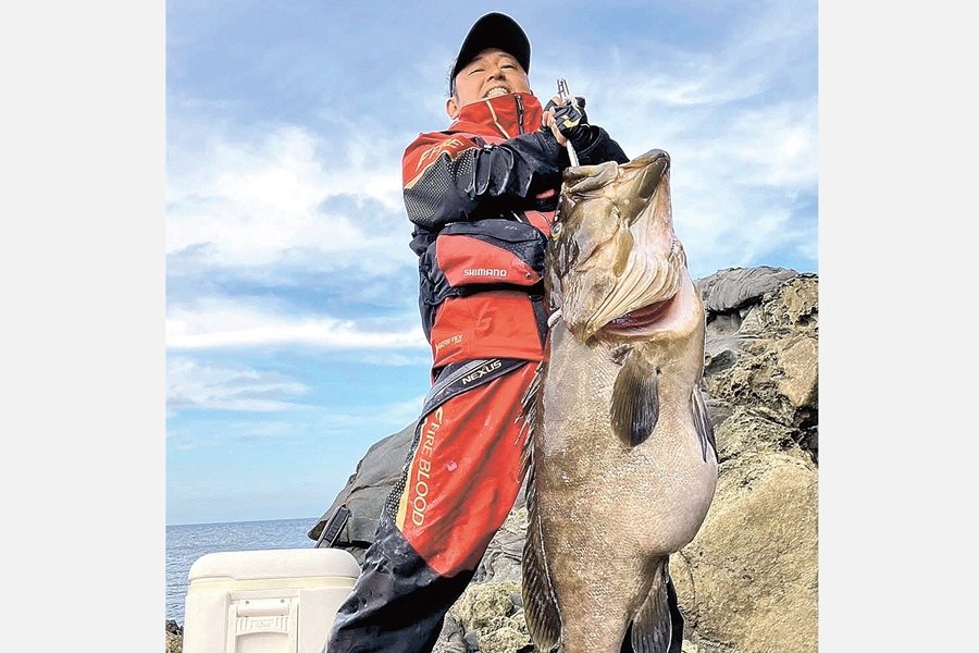 日本海最大級！？巨大クエ 122センチ、27．5キロ 海士で釣り上げ