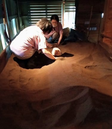 穴に入り、米ぬかをかけて埋めてもらう記者＝鳥取県大山町富長、酵素温浴施設「ビューティーリゾートマイカ」
