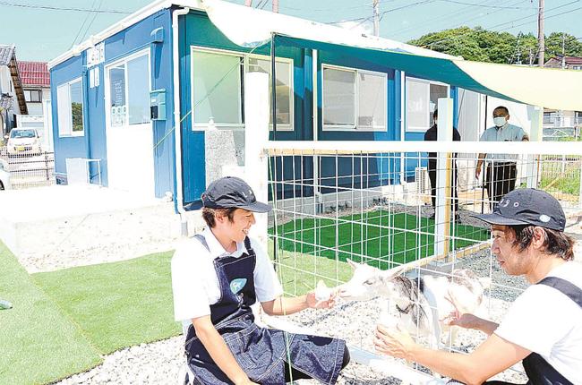 ヤギのミルクを使用したジェラートなどが楽しめる「ラーゴ　セントウ」＝松江市浜佐田町