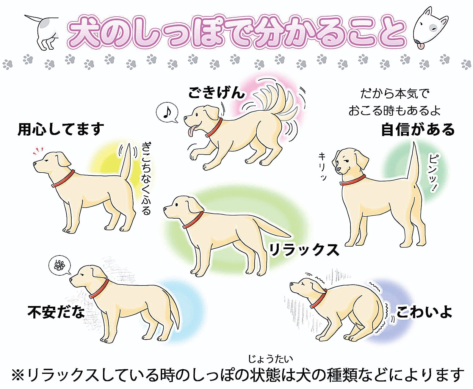 わんこのしっぽ 知ってなかよしワンニャンシグナル＞ 犬のしっぽでわかること 幸せでも