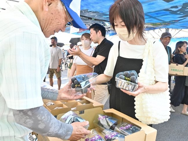 ピオーネを買い求める来場者＝浜田市金城町七条、集出荷施設