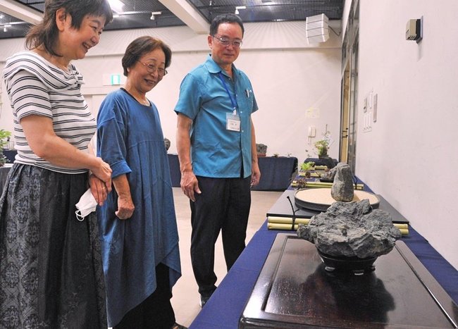 並んだ鑑賞石に目を向ける会員＝松江市殿町、島根県民会館