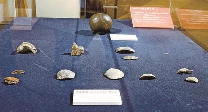 国内初の恐竜化石は「卵」 サヒメル特別企画展で展示 50年以上前