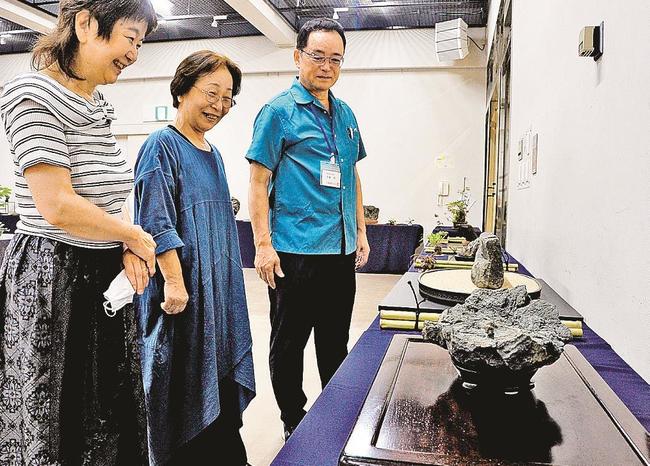 並んだ鑑賞石に目を向ける会員＝松江市殿町、島根県民会館