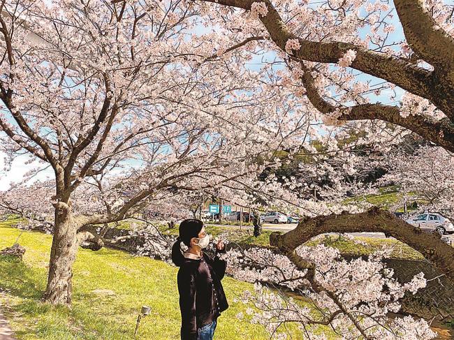 東京での新生活に期待をふくらませていた昨春の筆者＝松江市内