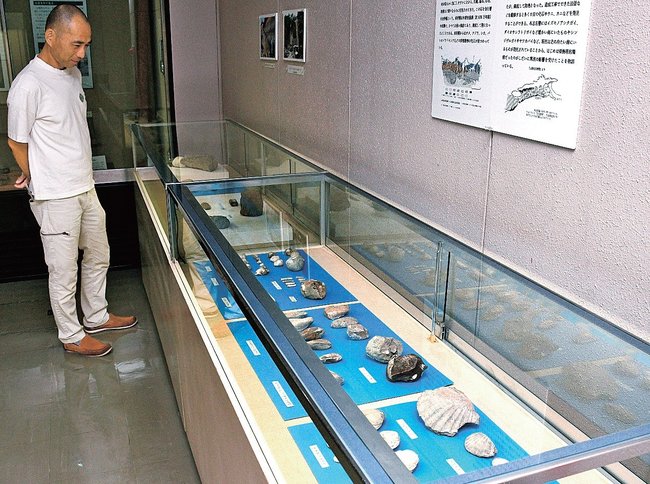 地層で見つかった化石を見る来館者＝松江市玉湯町玉造、出雲玉作資料館
