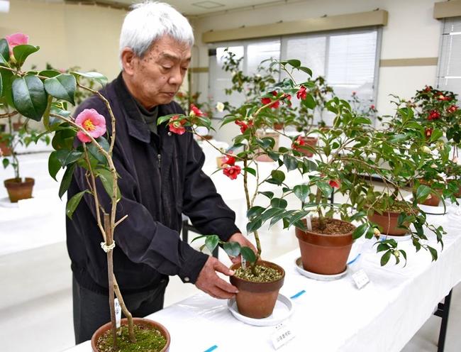 展示位置を確認する田中元会長=安来市宇賀荘町、宇賀荘交流センター